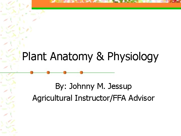 Plant Anatomy & Physiology By: Johnny M. Jessup Agricultural Instructor/FFA Advisor 