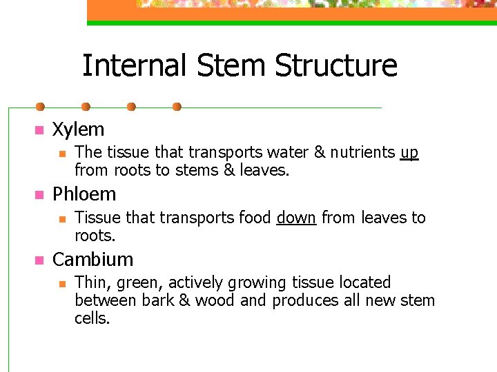 Internal Stem Structure n Xylem n n Phloem n n The tissue that transports