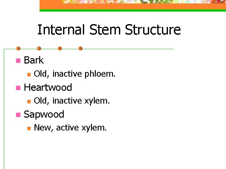 Internal Stem Structure n Bark n n Heartwood n n Old, inactive phloem. Old,
