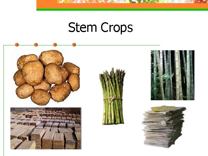 Stem Crops 