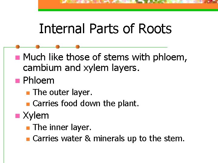 Internal Parts of Roots Much like those of stems with phloem, cambium and xylem