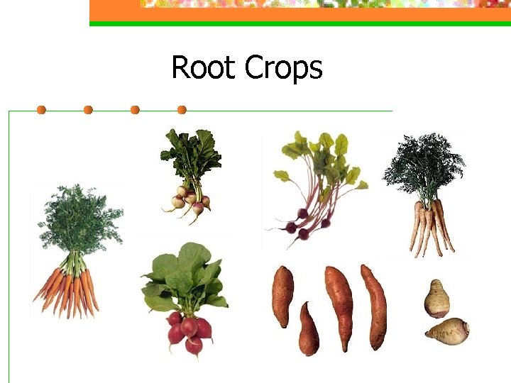 Root Crops 