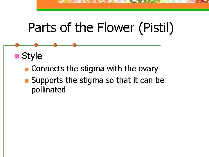 Parts of the Flower (Pistil) n Style n n Connects the stigma with the