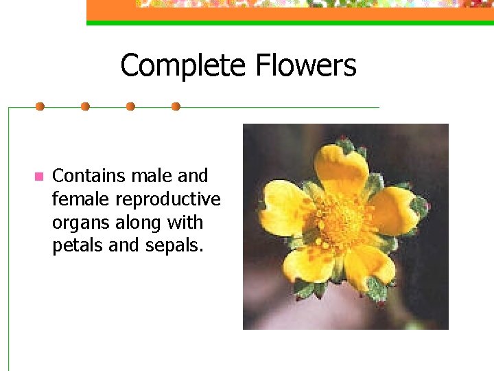 Complete Flowers n Contains male and female reproductive organs along with petals and sepals.