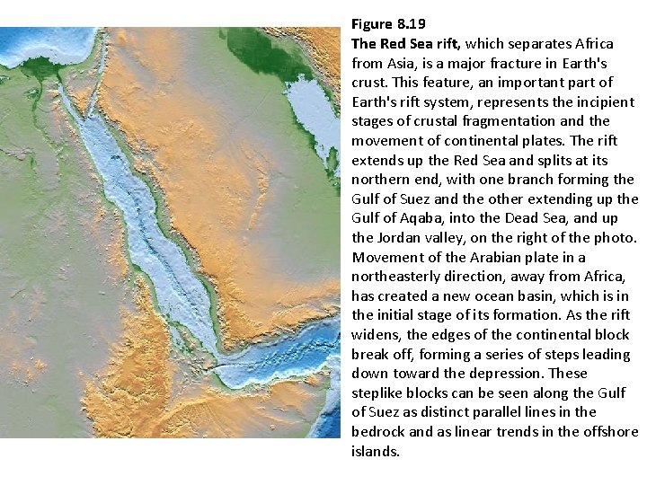 Figure 8. 19 The Red Sea rift, which separates Africa from Asia, is a