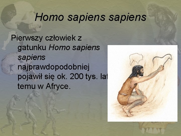 Homo sapiens Pierwszy człowiek z gatunku Homo sapiens najprawdopodobniej pojawił się ok. 200 tys.