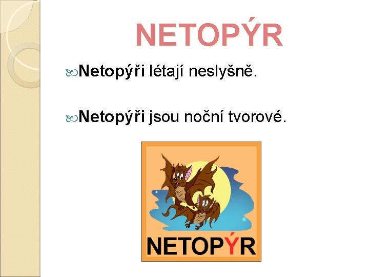 NETOPÝR Netopýři létají neslyšně. Netopýři jsou noční tvorové. 