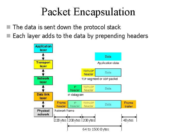 Packet Encapsulation n The data is sent down the protocol stack n Each layer