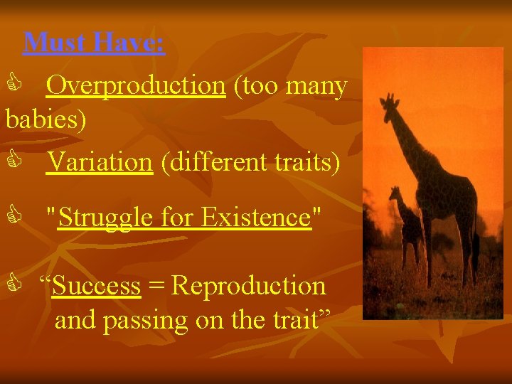 Must Have: C Overproduction (too many babies) C Variation (different traits) C "Struggle for