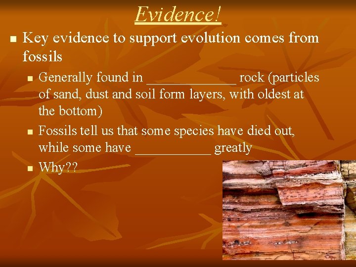 Evidence! n Key evidence to support evolution comes from fossils n n n Generally