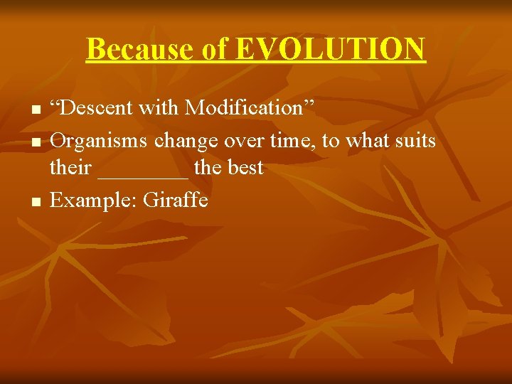 Because of EVOLUTION n n n “Descent with Modification” Organisms change over time, to