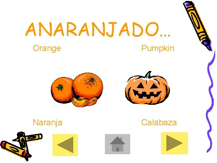 ANARANJADO… Orange Pumpkin Naranja Calabaza 