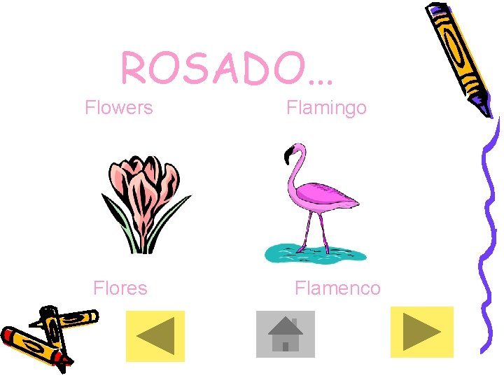 ROSADO… Flowers Flores Flamingo Flamenco 