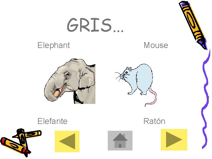 GRIS… Elephant Mouse Elefante Ratón 