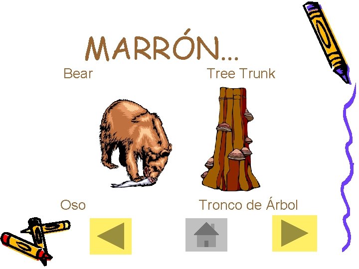 MARRÓN… Bear Oso Tree Trunk Tronco de Árbol 
