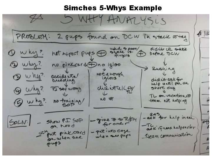 Simches 5 -Whys Example 