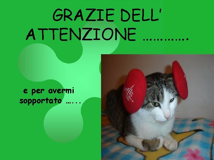 GRAZIE DELL’ ATTENZIONE …………. e per avermi sopportato …. . . 