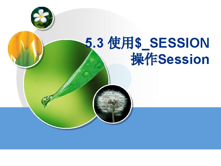5. 3 使用$_SESSION 操作Session 5. 3 使用$_SESSION 操作Session