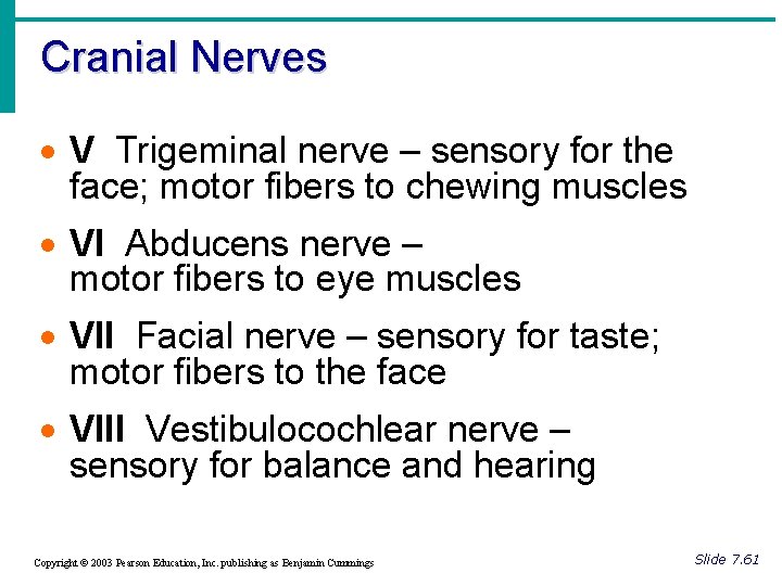 Cranial Nerves · V Trigeminal nerve – sensory for the face; motor fibers to