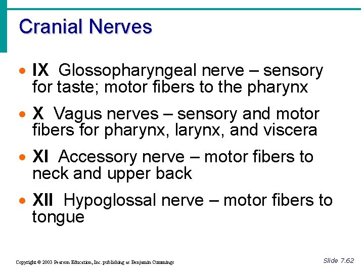 Cranial Nerves · IX Glossopharyngeal nerve – sensory for taste; motor fibers to the Cranial Nerves · IX Glossopharyngeal nerve – sensory for taste; motor fibers to the