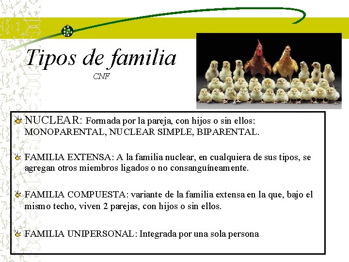 Tipos de familia CNF NUCLEAR: Formada por la pareja, con hijos o sin ellos: