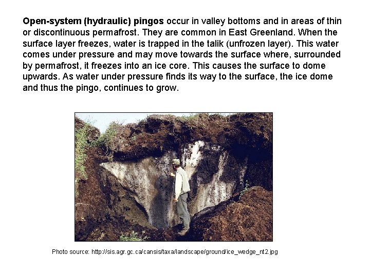 Open-system (hydraulic) pingos occur in valley bottoms and in areas of thin or discontinuous