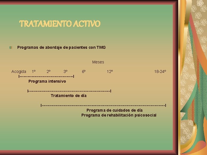 TRATAMIENTO ACTIVO Programas de abordaje de pacientes con TMG Meses Acogida 1º 2º 3º