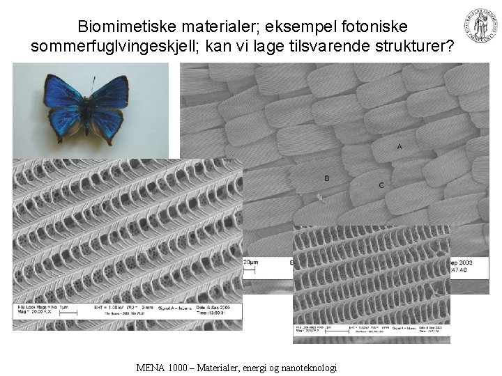 Biomimetiske materialer; eksempel fotoniske sommerfuglvingeskjell; kan vi lage tilsvarende strukturer? MENA 1000 – Materialer,