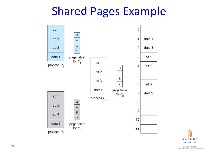 Shared Pages Example 19 