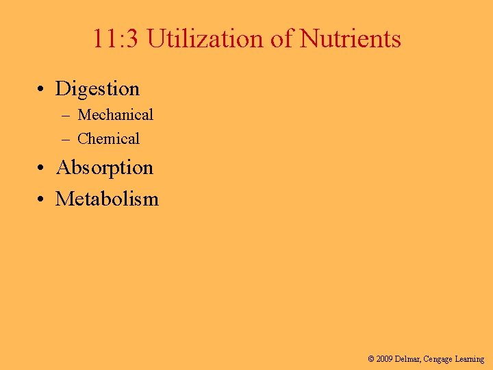 11: 3 Utilization of Nutrients • Digestion – Mechanical – Chemical • Absorption •