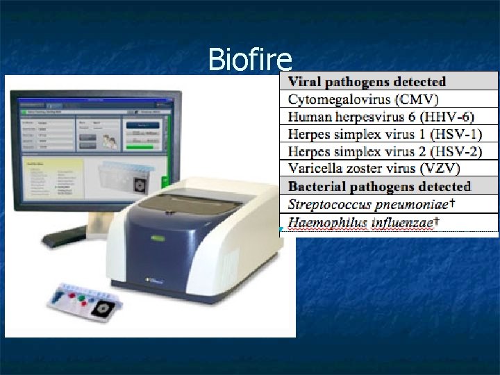 Biofire Biofire