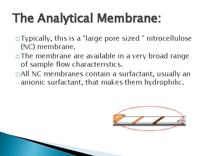 The Analytical Membrane: � Typically, this is a “large pore sized “ nitrocellulose (NC)