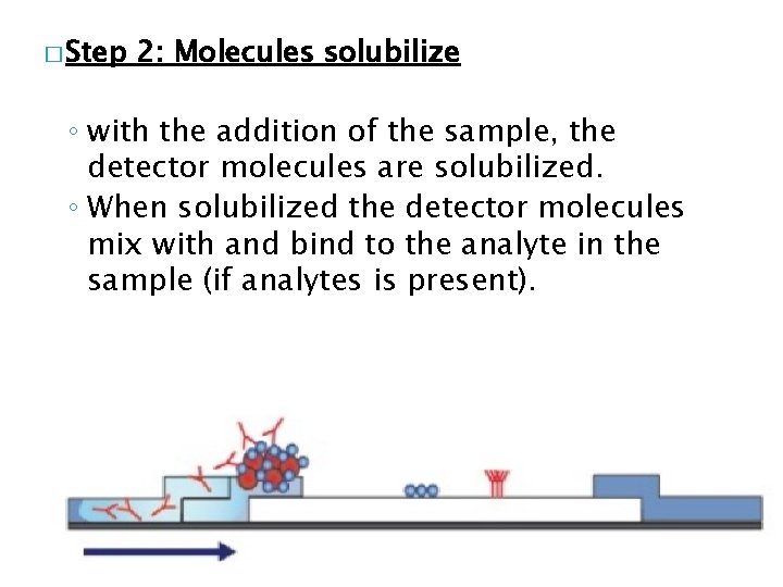 � Step 2: Molecules solubilize ◦ with the addition of the sample, the detector