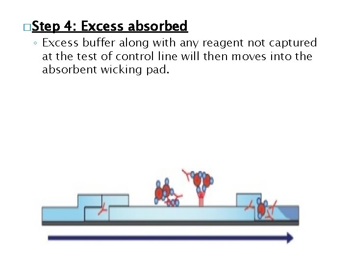 � Step 4: Excess absorbed ◦ Excess buffer along with any reagent not captured