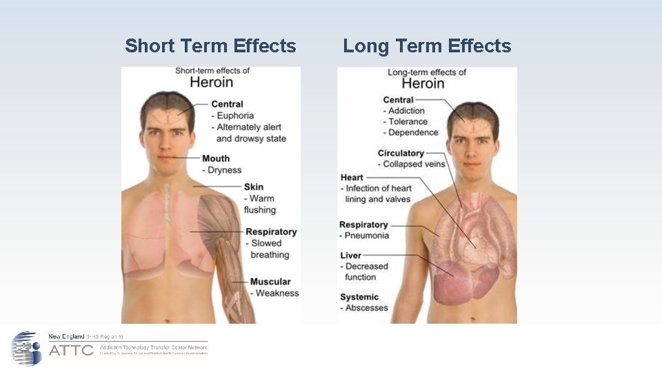 Short Term Effects Long Term Effects 