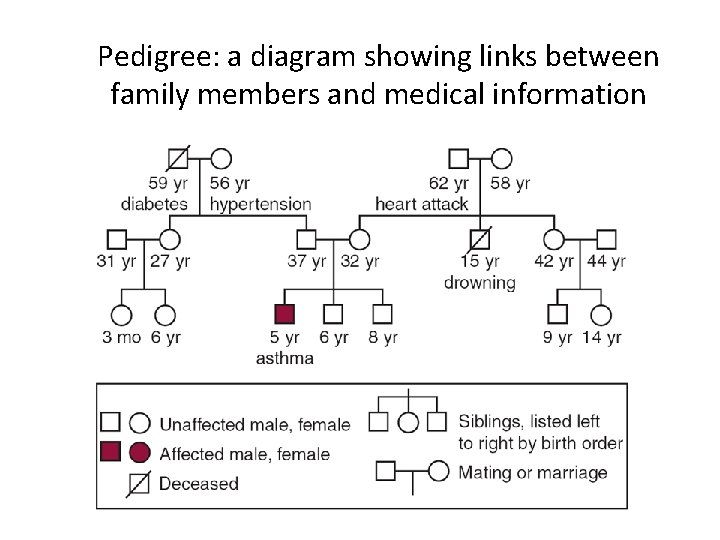Pedigree: a diagram showing links between family members and medical information 