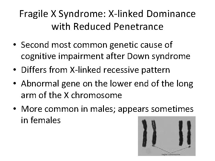 Fragile X Syndrome: X-linked Dominance with Reduced Penetrance • Second most common genetic cause