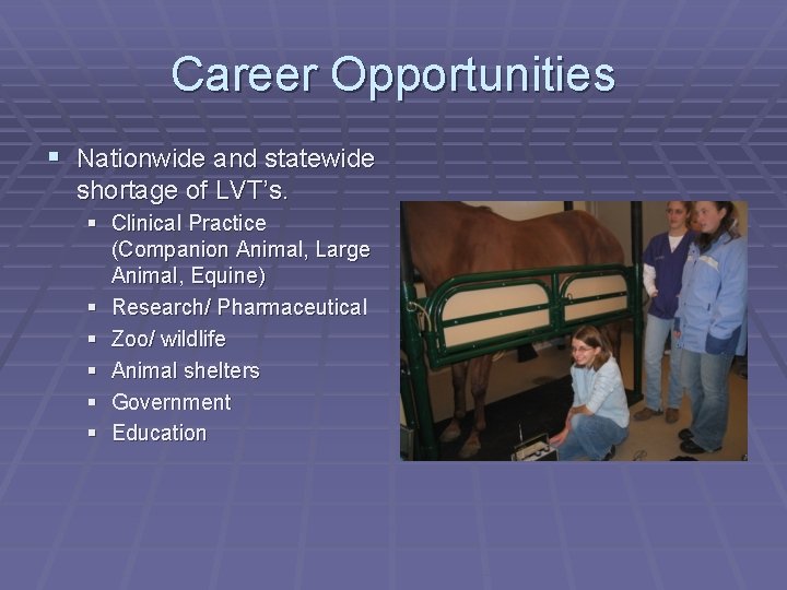 Career Opportunities § Nationwide and statewide shortage of LVT’s. § Clinical Practice (Companion Animal,