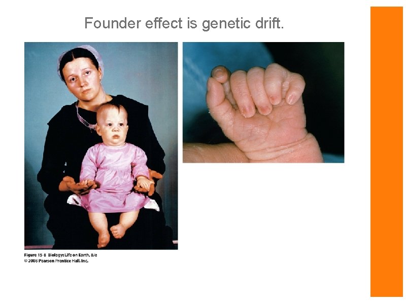 Founder effect is genetic drift. 