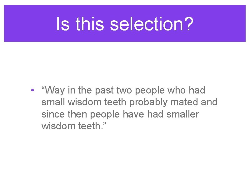 Is this selection? • “Way in the past two people who had small wisdom