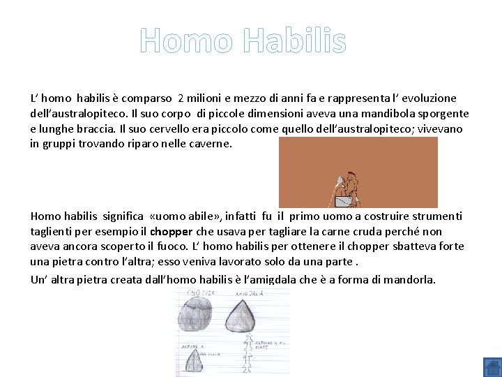 Homo Habilis L’ homo habilis è comparso 2 milioni e mezzo di anni fa