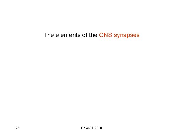The elements of the CNS synapses 22 Golan H. 2010 