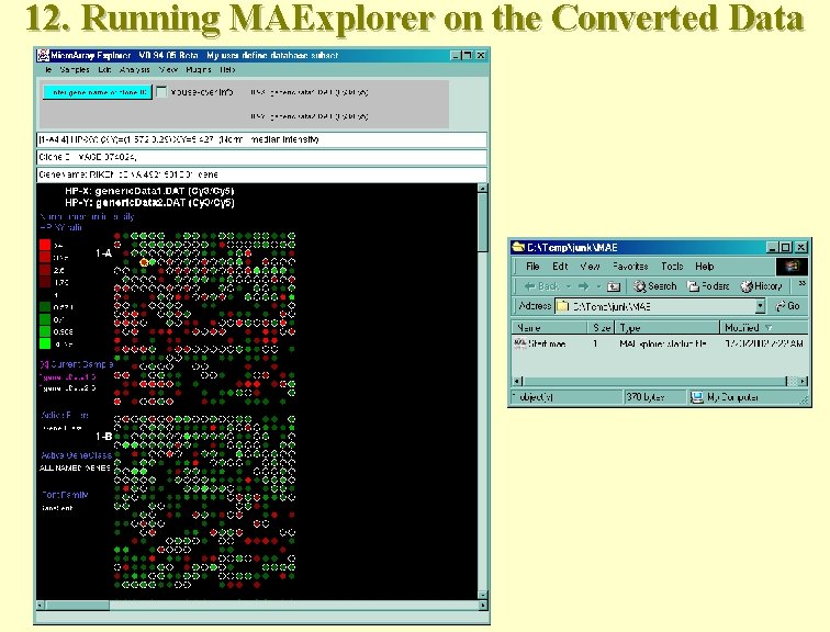 Using Cvt 2 Mae to Convert UserDefined Array