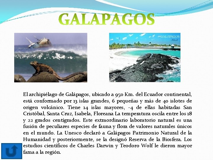 El archipiélago de Galápagos, ubicado a 950 Km. del Ecuador continental, está conformado por