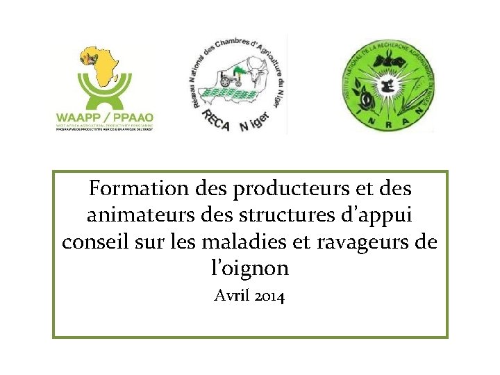 Formation des producteurs et des animateurs des structures d’appui conseil sur les maladies et