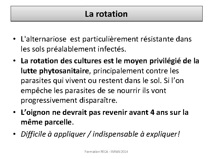 La rotation • L'alternariose est particulièrement résistante dans les sols préalablement infectés. • La