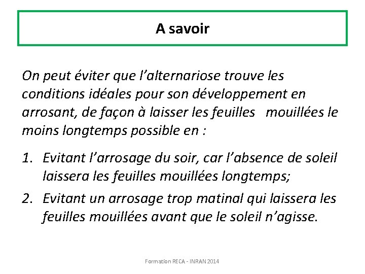 A savoir On peut éviter que l’alternariose trouve les conditions idéales pour son développement