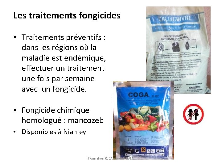 Les traitements fongicides • Traitements préventifs : dans les régions où la maladie est