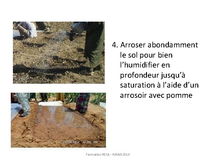 4. Arroser abondamment le sol pour bien l’humidifier en profondeur jusqu’à saturation à l’aide