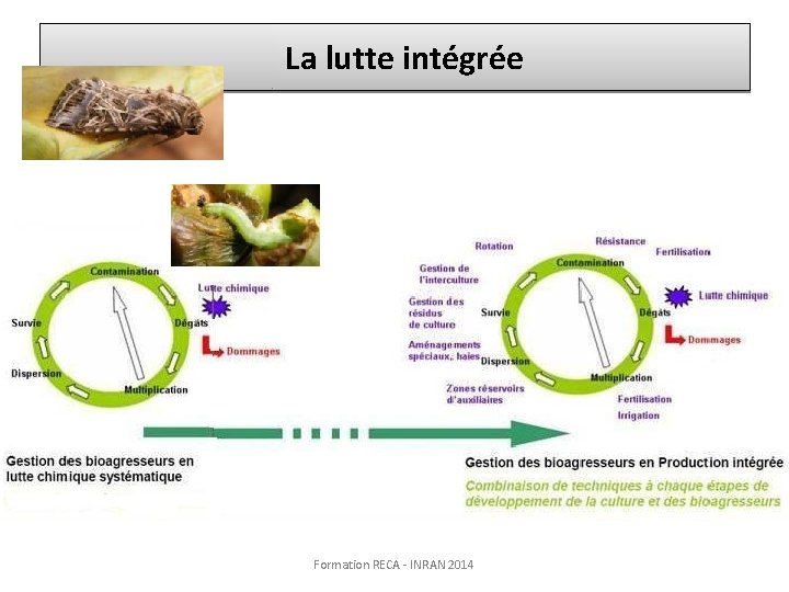 La lutte intégrée Formation RECA - INRAN 2014 